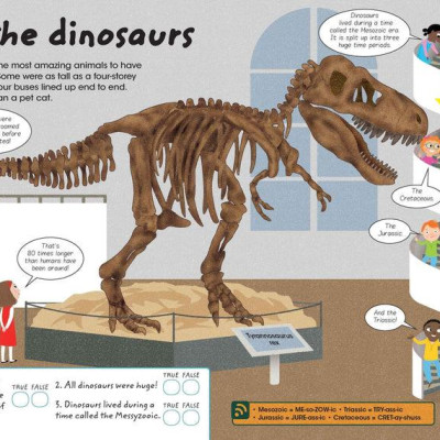 Factivity Vol. 2 - Discover The Amazing World Of Dinosaurs