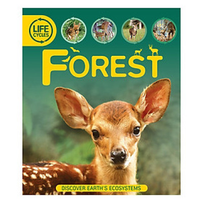 Life Cycles: Forest