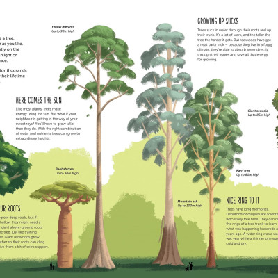 High: Soar To New Heights