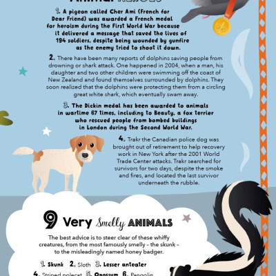 Lists For Curious Kids: Animals: 206 Fun, Fascinating And Fact-Filled Lists