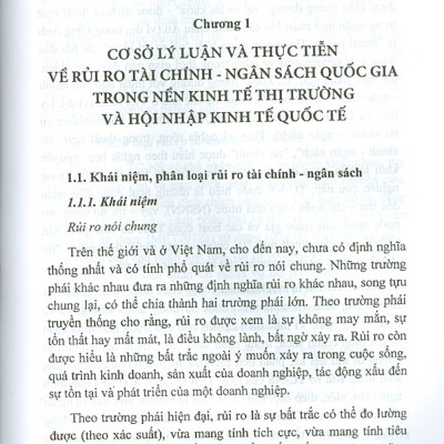 Rủi Ro Tài Chính - Ngân Sách: Lý Luận, Thực Tiễn Và Giải Pháp Chính Sách Cho Việt Nam