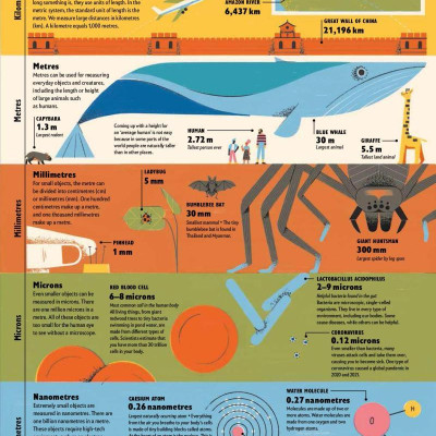Earth is Big: A Book of Comparisons