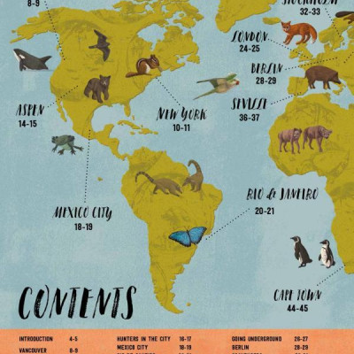 Wild City: Meet The Animals Who Share Our City Spaces