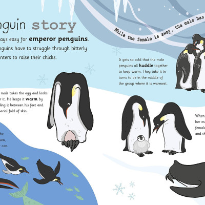 My Encyclopedia of Very Important Animals: For Little Animal Lovers Who Want to Know Everything (My Very Important Encyclopedias)