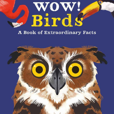 Wow! Birds