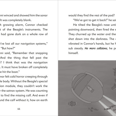 The Secret Explorers And The Lost Whales