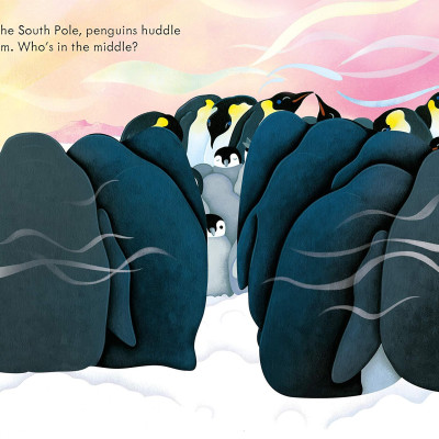 Peep Inside Snowy Places