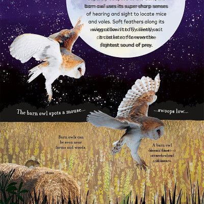 Through The Night Sky: A Collection Of Amazing Adventures Under The Stars