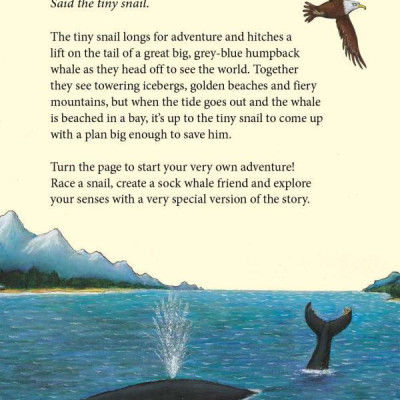 The Snail And The Whale And Friends Outdoor Activity Book