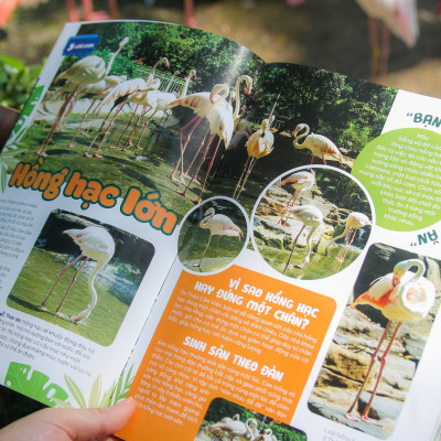 THẢO CẦM VIÊN SÀI GÒN - Kho Báu Trong Lòng Thành Phố (bìa mềm)