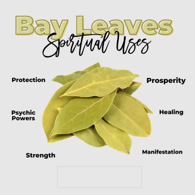 Lá nguyệt quế xông thơm nhà cửa chiêu tài lộc