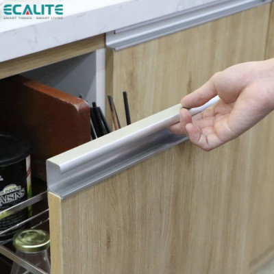 Kệ đựng gia vị Pull-out Ecalite EL-GS300 - Tủ ngang 300mm - Hàng chính hãng