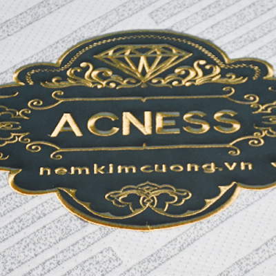 Nệm bông ép Kim Cương Acness 160x200x9cm (Màu ngẫu nhiên)