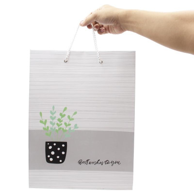 Túi Đựng Quà 37 x 28 cm Best Wishes - The Sun (Mẫu Bao Bì Giao Ngẫu Nhiên)