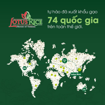 Gạo Thơm Lài Lotus Rice 2kg - Cơm ngon dẻo vừa