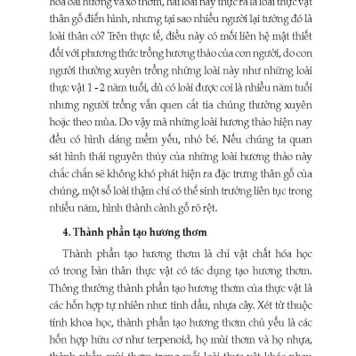 Kỹ Thuật Trồng Các Loại Cây Hương Thảo (Tái bản 2025)