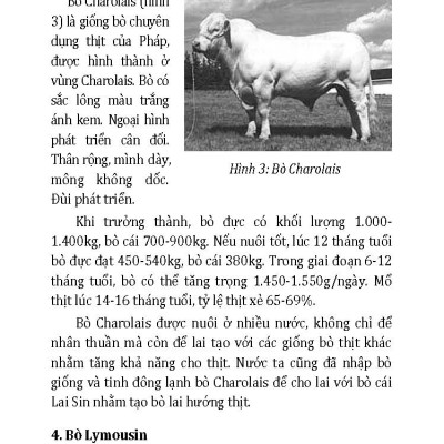  Kỹ Thuật Nuôi Bò Và Biện Pháp Phòng Trị Bệnh (Tái bản 2025)