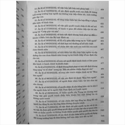 Sách Hệ Thống Án Lệ Việt Nam – Từ Án Lệ số 01 đến Án Lệ số 72 (V2481TP)