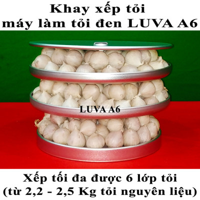 Máy làm tỏi đen Luva A6(6L) - Hàng chính hãng