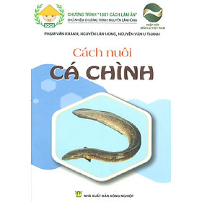 Cách Nuôi Cá Chình