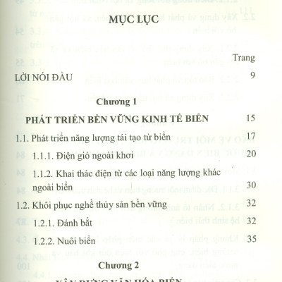 Kiến Tạo Quốc Gia Biển Mới Ở Nhật Bản (Sách chuyên khảo)