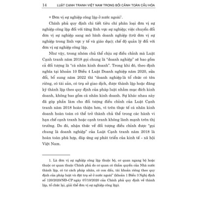 Luật cạnh tranh Việt Nam trong bối cảnh toàn cầu - bản in 2024