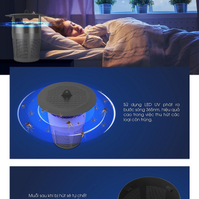 Đèn bắt muỗi Rạng Đông DBM01 5W - Chính Hãng