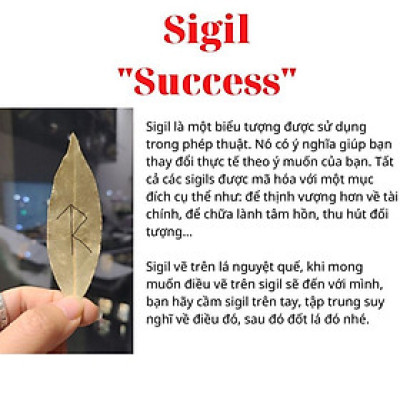 Bộ sưu tập đĩa cắm nhang các loại