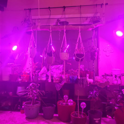 Đèn Led chống nước trồng cây trong nhà Terino D38FS (300W, Full Spectrum, đèn toàn dải quang phổ) - Hàng chính hãng