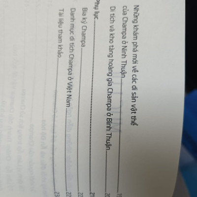 Nagara Champa - Những Phác Thảo Về Lịch Sử Và Nền Văn Minh - Đổng Thành Danh - (bìa mềm)