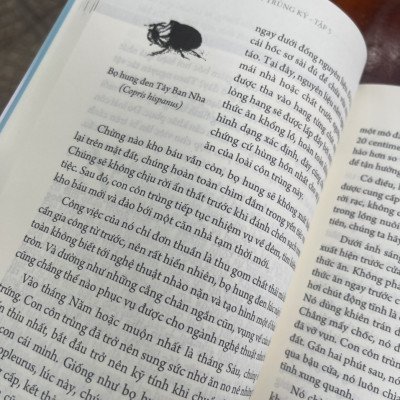 (Ấn bản đầy đủ nhất của Jean-Henri Fabre) CÔN TRÙNG KÝ – Tập 5 - Jean-Henri Fabre - An Lạc Group dịch – Huy Hoàng Bookstore – bìa mềm