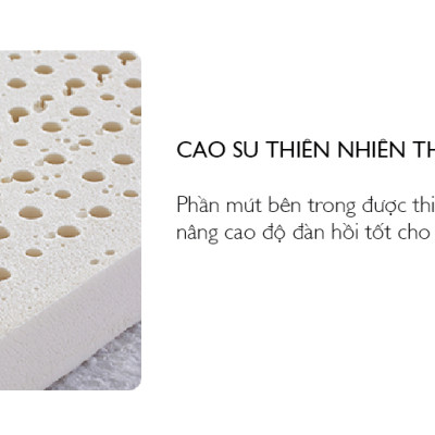 Nệm Bern 1.2m Jang In 1301700001-03