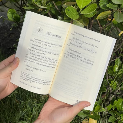 Sách -  Bồ Tát Đi Giày Trái - Vĩnh Nghiêm Books