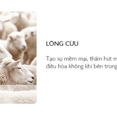 Nệm Bern 1.2m Jang In 1301700001-03