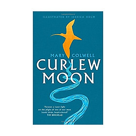 Curlew Moon