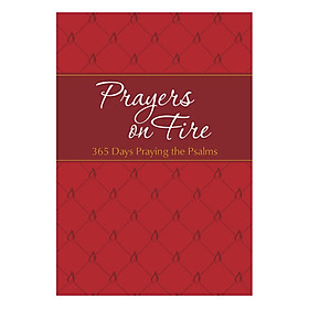 Prayers On Fire: 365 Days Praying The Ps