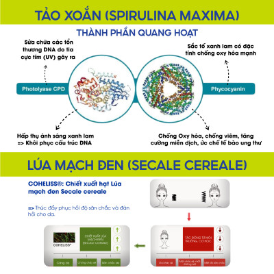 Dưỡng thể thư giãn Phiten Metax Lotion B 120ml