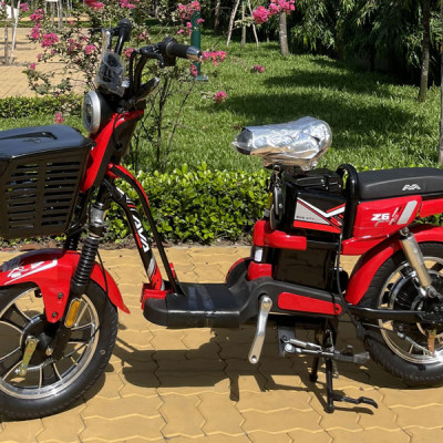 XE ĐIỆN AVA Z6, AVA Z LIMITED