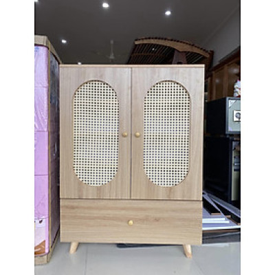 Tủ kệ giày 2 cánh cánh mây HC -418