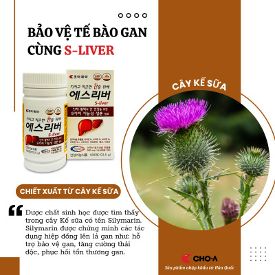 Thực Phẩm Bảo Vệ Sức Khỏe Gan S-Liver Tăng Cường Chức Năng Gan (1 Hộp X 180 Viên)