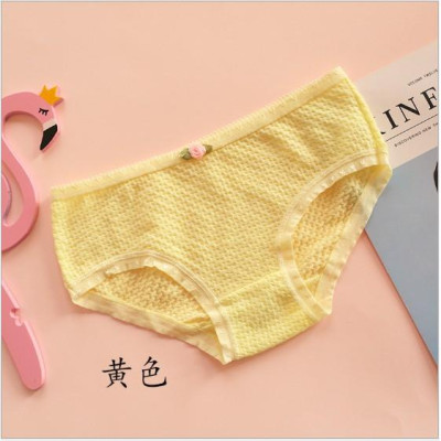 COMBO 10 QUẦN BÔNG THUN XỐP SIÊU XINH 1456