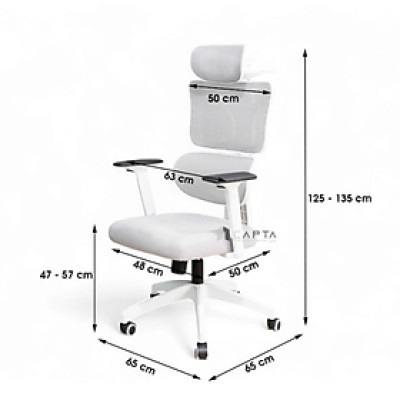 Ghế văn phòng hỗ trợ cột sống lưng CR4331-M Nội thất Capta Ghế công thái học lưng lưới nệm vải tay nhựa chữ T điều chỉnh chân xoay nâng hạ có gác chân