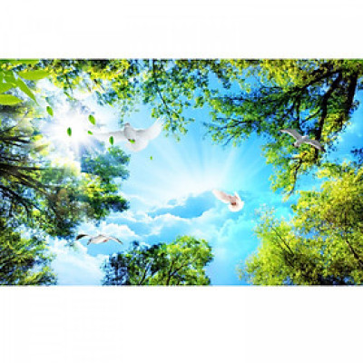Tranh dán trần 3d bầu trời lá xanh TN66
