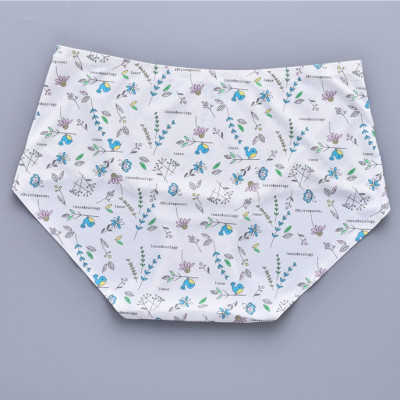 Combo 5 Quần Lót Nữ Su Đúc Họa Tiết 016–018 – Seamless, Co Giãn 4 Chiều, Thoáng Mát