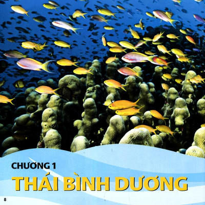 Cuốn Sách Lớn Đầu Tiên Của Tớ - Đại Dương - Bìa Cứng (Tái Bản 2024)