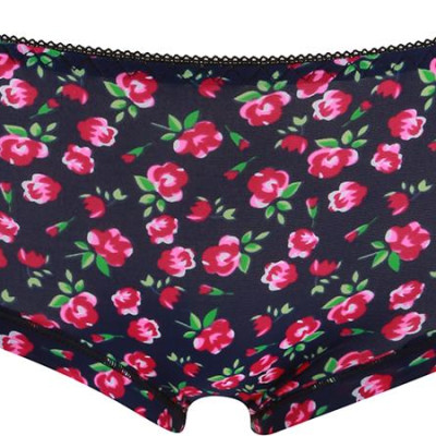 Combo 10 Quần Lót Su Đúc Lanh Hoa Cao Cấp QL03