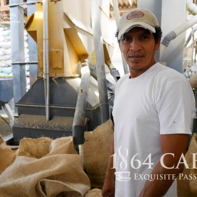 Cà Phê Hảo Hạng (Specialty Coffee) Tinh Khiết Không Tẩm Không Độn Thương Hiệu Quốc Tế 1864 CAFÉ EL BORBOLLÓN Nguyên Hạt Khối Lượng Tịnh 220g – 1864 CAFÉ