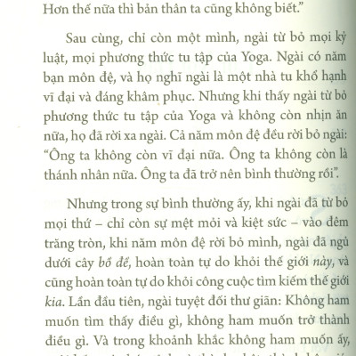 Như Chim Sải Cánh (A Bird On The Wing): Giai Thoại THIỀN Cho Đời Sống Tỉnh Thức - Osho, Thái An dịch