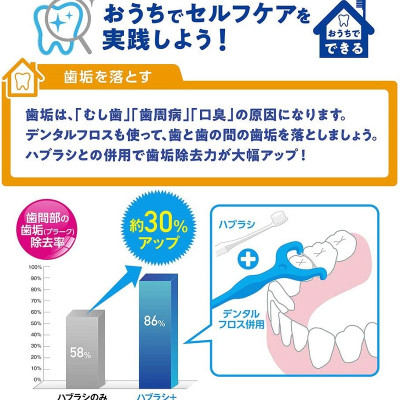 Gói 30 chiếc tăm chỉ nha khoa Clinica Advantage kiểu chữ Y hàng nội địa Nhật Bản