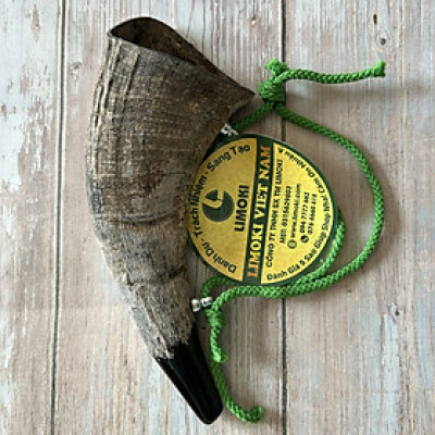 Tù Và Bằng Sừng Trâu Thô